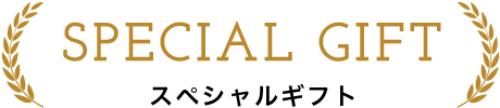 スペシャルギフト
